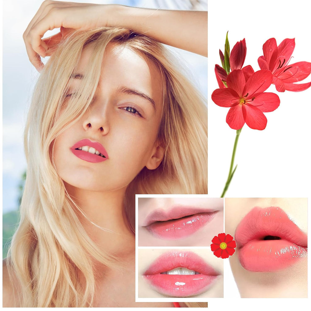Wine Red Matte Lip Tint and Liquid Lipstick Set, 6 Colors