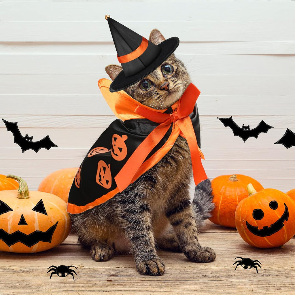 5-Piece Vampire Witch Bat Wings Halloween Costume Set for Cats and Small Dogs